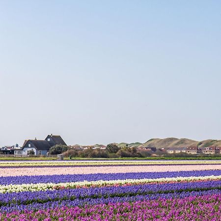 Duinland 251 - Park Duinland Sint Maartenszee Sint Maartensvlotbrug Εξωτερικό φωτογραφία
